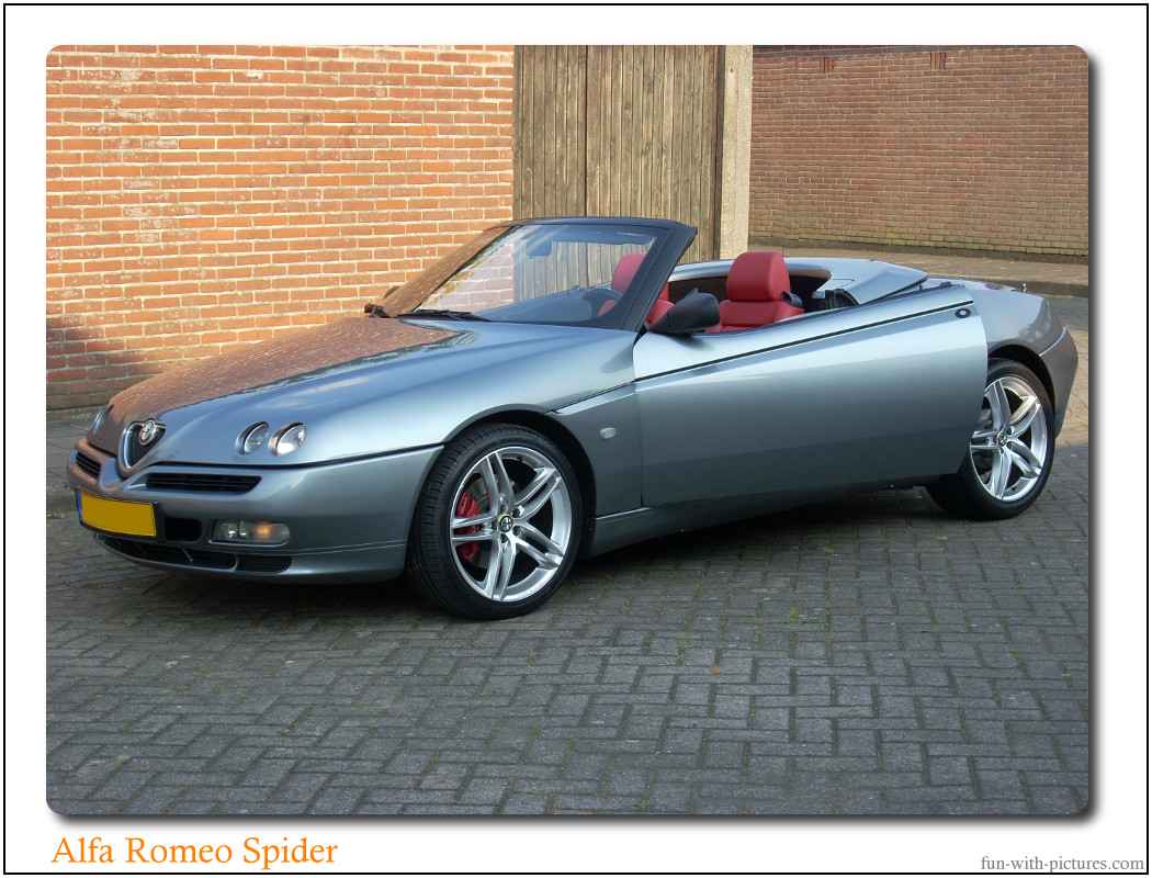 Alfa Romeo Spider Car 