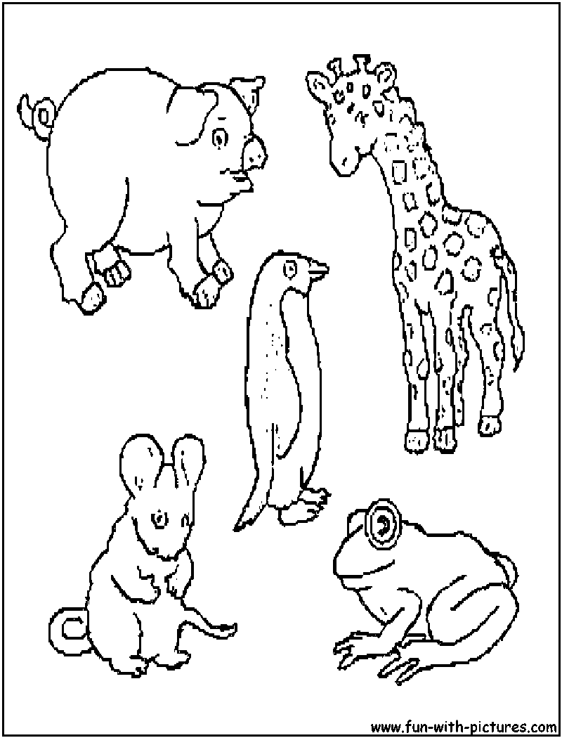 Animal Picture Coloring Page3 