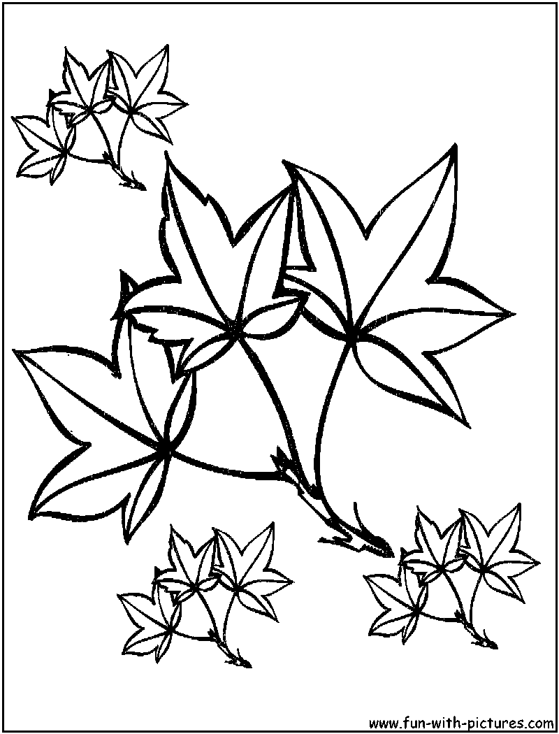 Autumn Leaves Coloring Pages - Free Printable Colouring Pages for kids