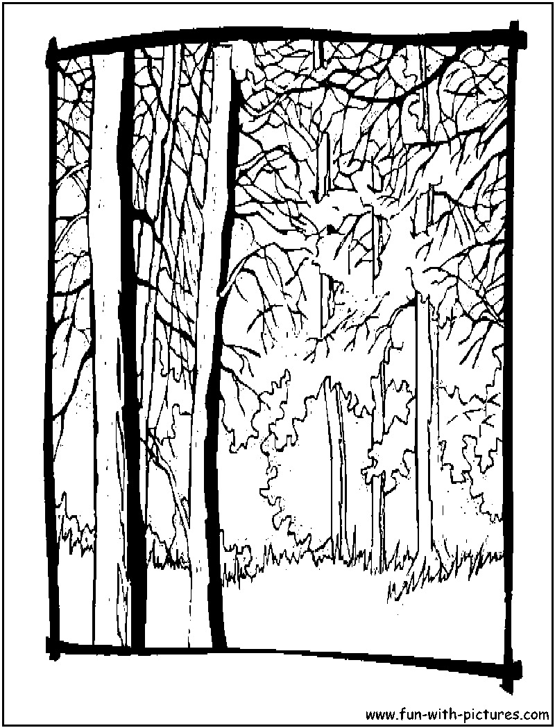 Autumn Trees Coloring Page 