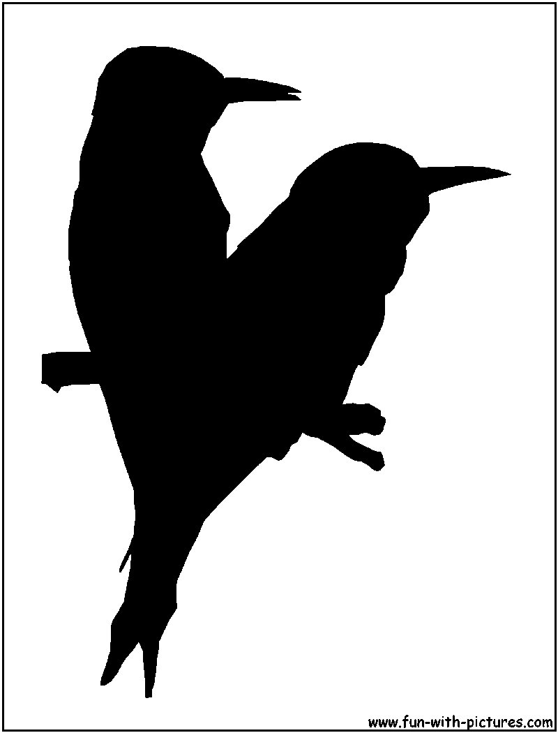 Bee Eaters Silhouette