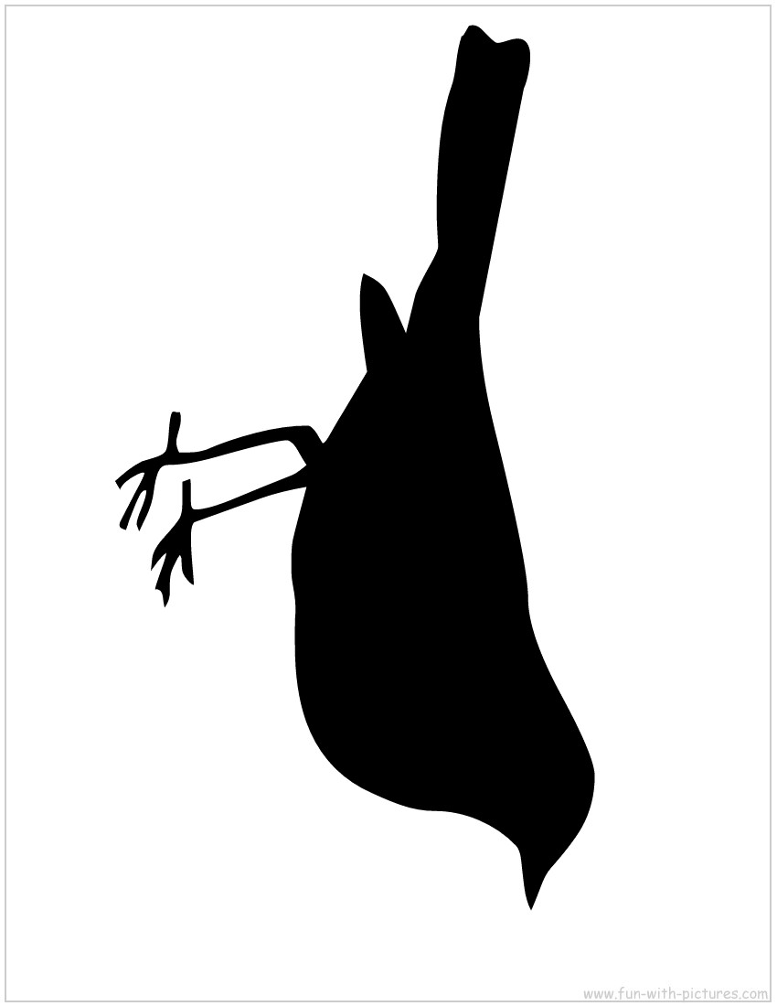 Bird Silhouette