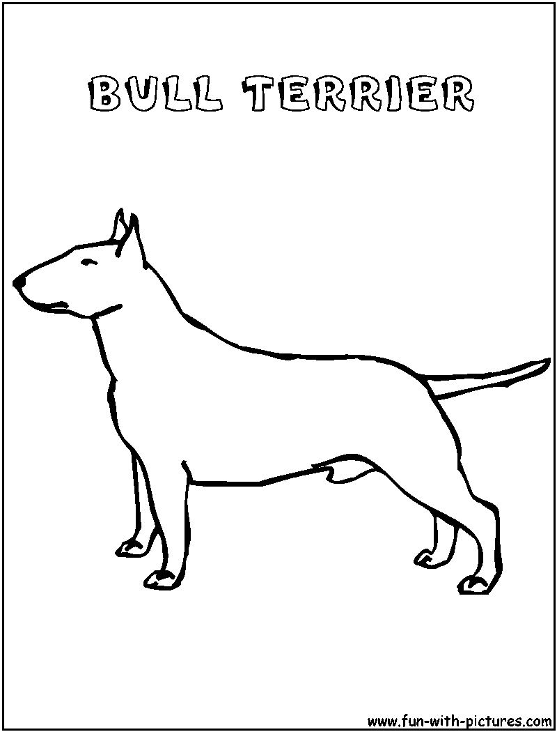 Bullterrier Coloring Page 