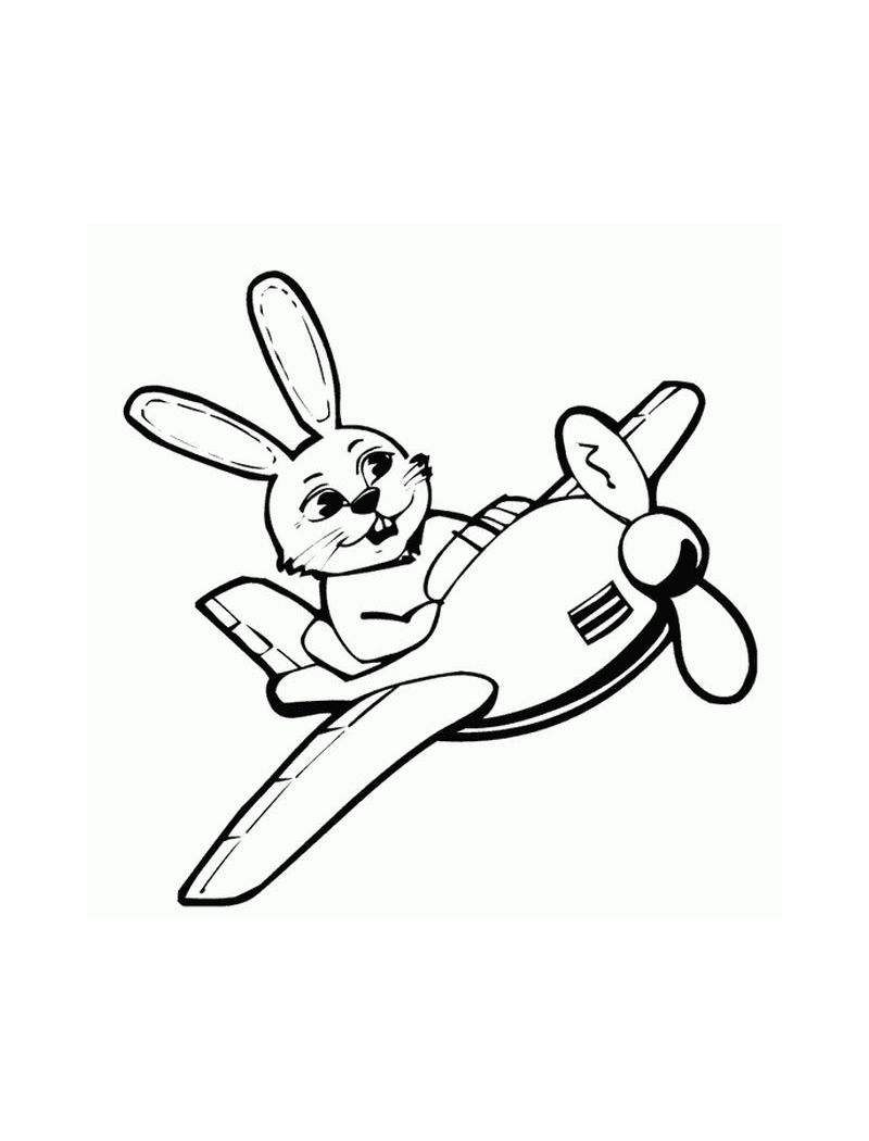  http://www.fun-with-pictures.com/image-files/bunnypilot.jpg 