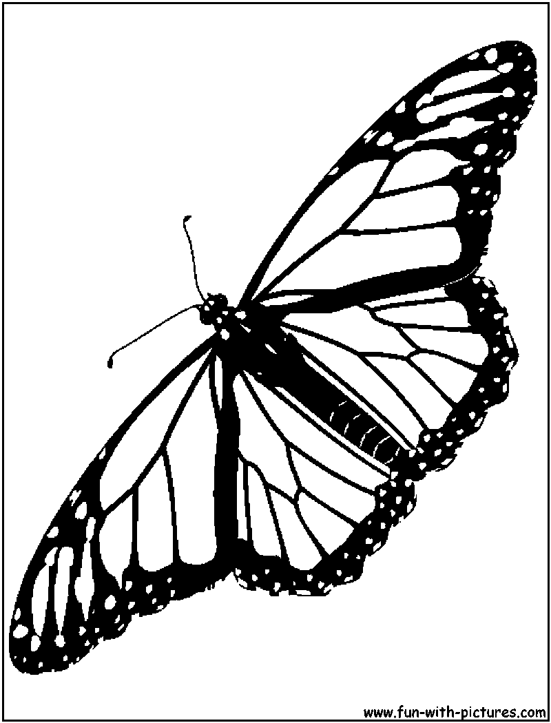 Butterfly Coloring Page1 