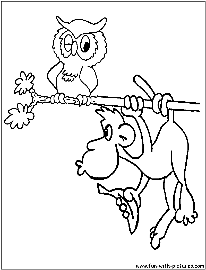 Cartoon Animal Picture Coloring Page12 