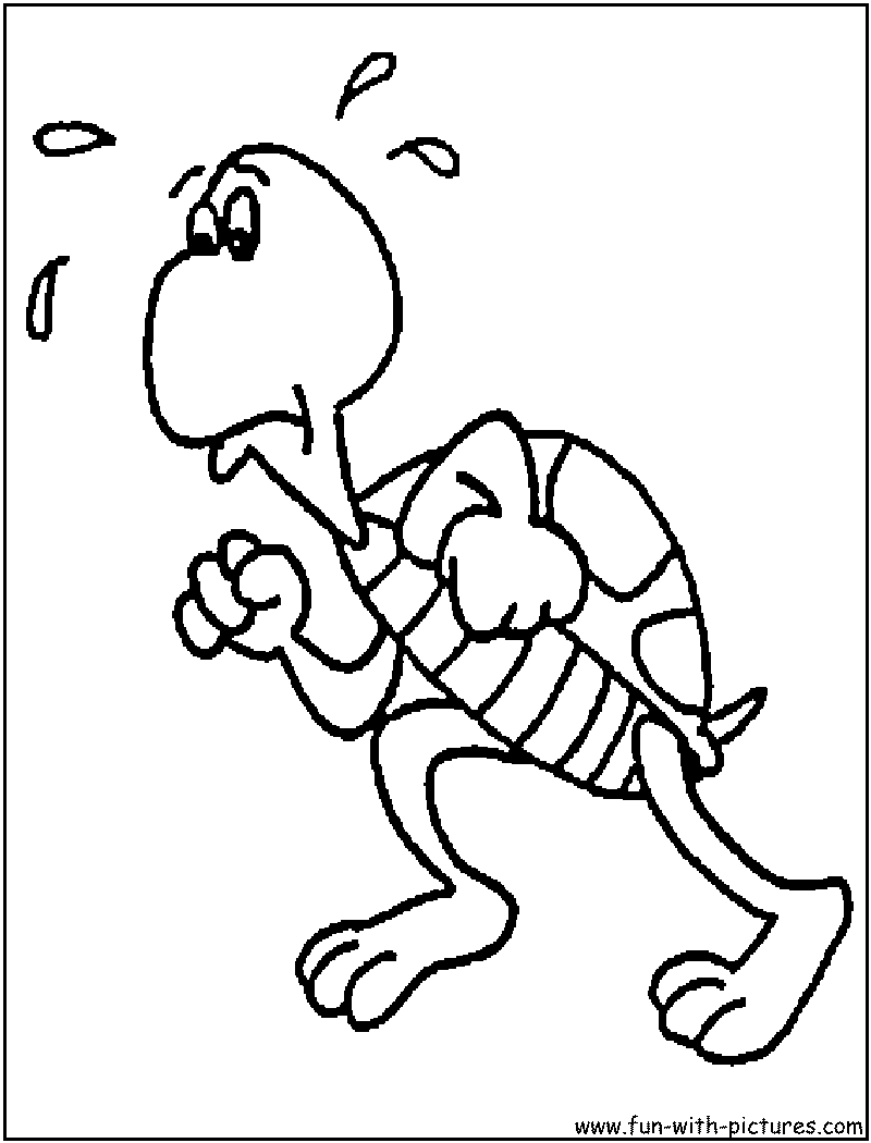 Cartoonturtle Coloring Page 