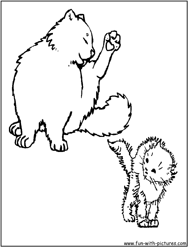 Catwash Coloring Page 