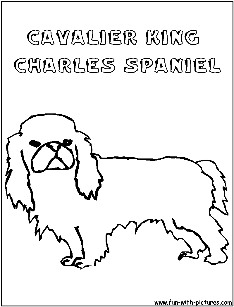 Cavalierkingcharlesspaniel Coloring Page 