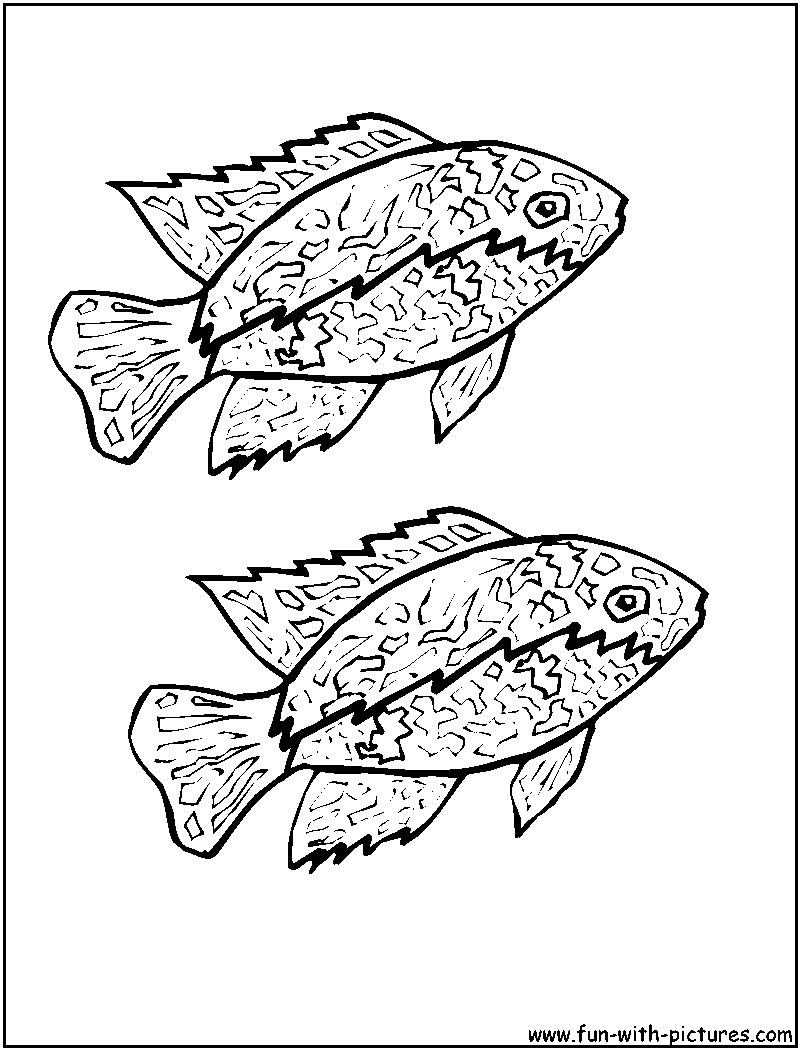 Cichlid Coloring Page 