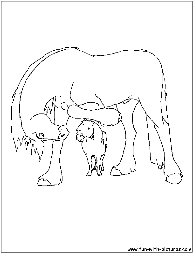 paint horse coloring pages - photo #38