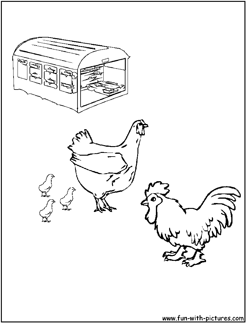 Cock Hen Coloring Page 