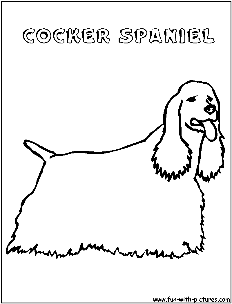 Cockerspaniel Coloring Page 