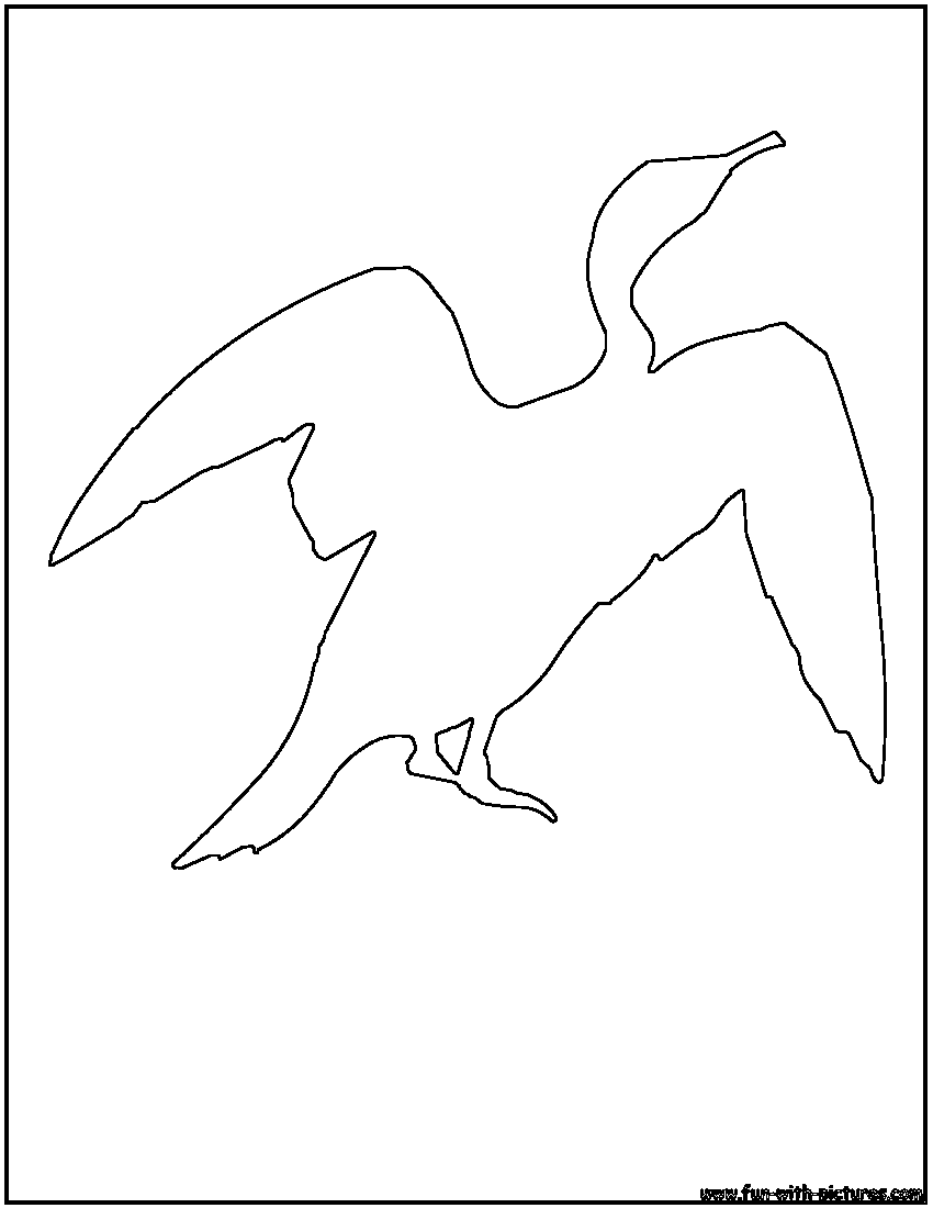 Cormorant Outline Coloring Page 