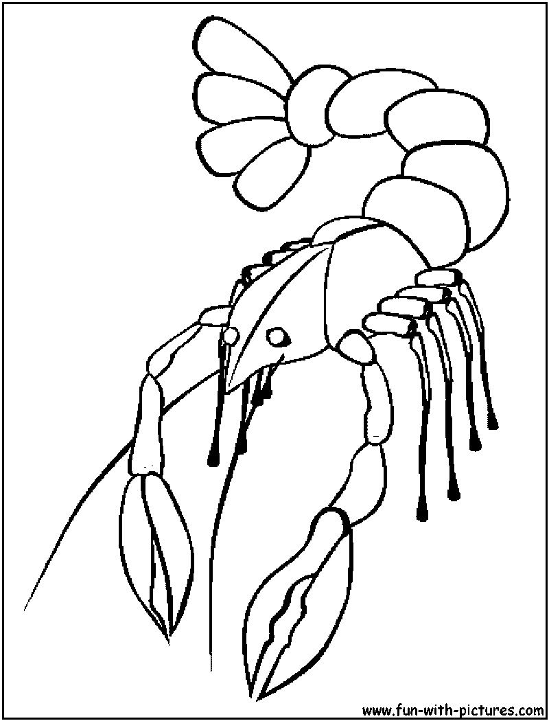 Crawfish Coloring Page 