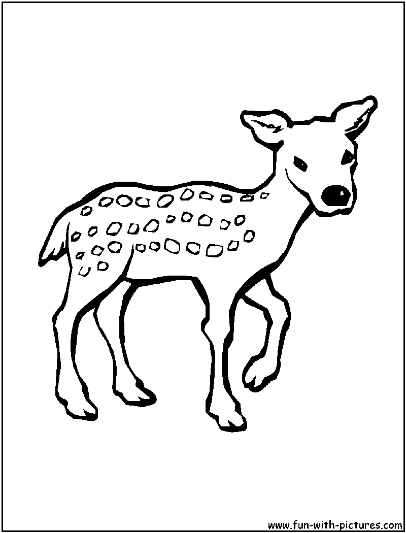 Doe Coloring Page 