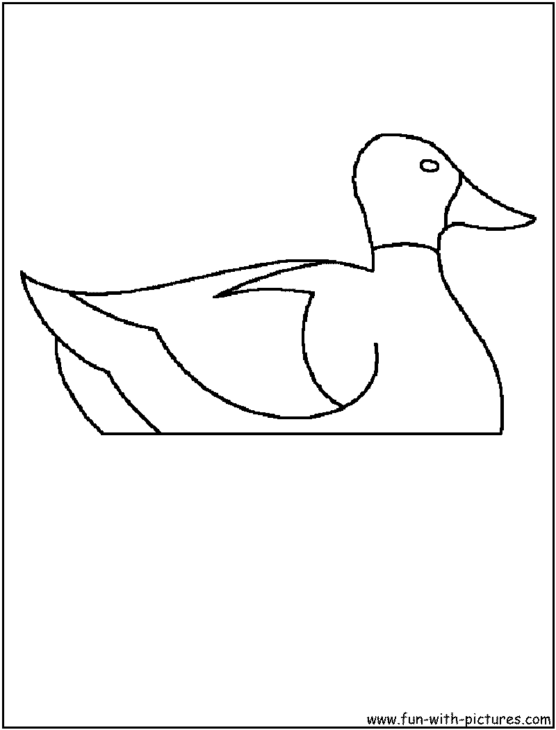 Duck Coloring Page 