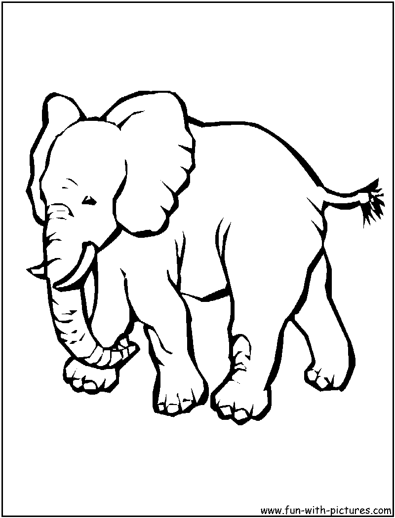 Elephant Coloring Page 
