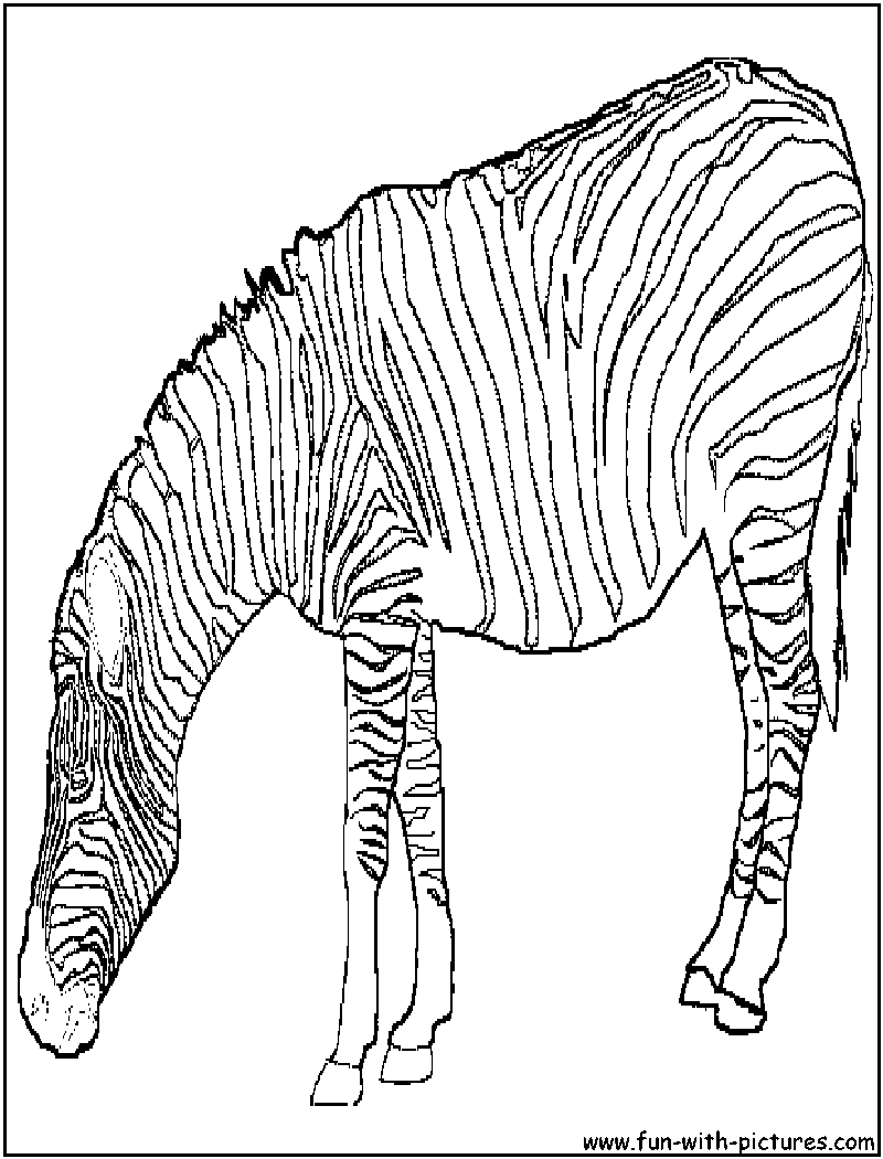 Fat Zebra Coloring Page 