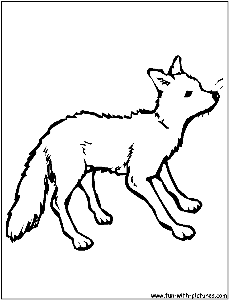 Fox Coloring Page 