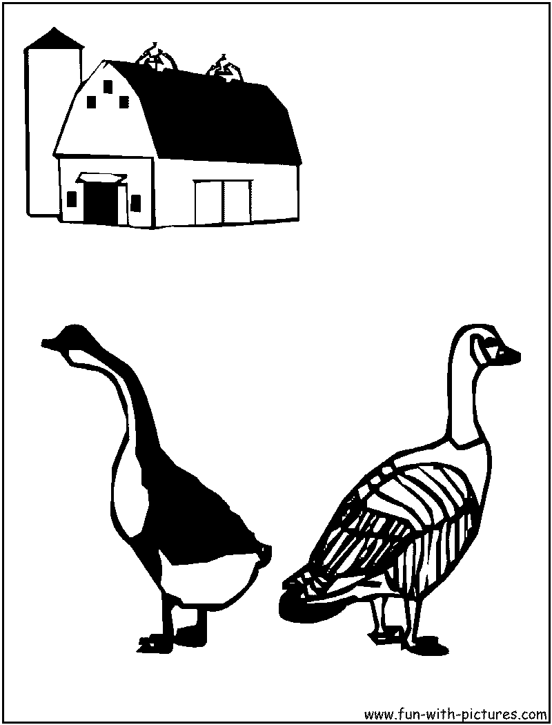 Goose Gander Coloring Page 