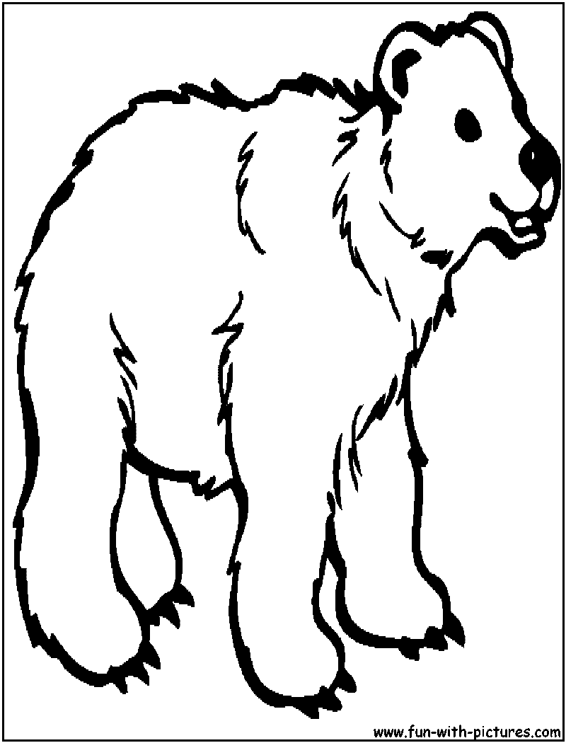 Grizzly Bear Coloring Page 