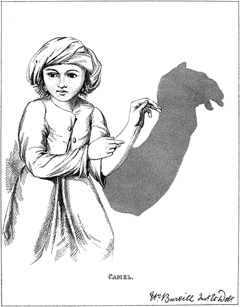 Hand Shadow Of Camel