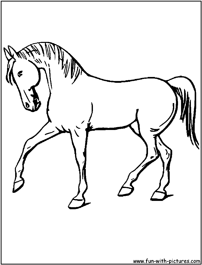 Horse Trot Coloring Page 