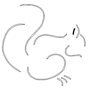 How To Draw A Squirrel