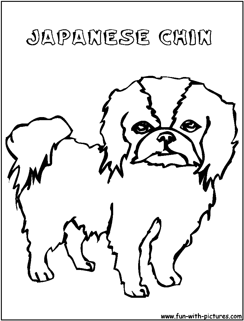Japanesechin Coloring Page 