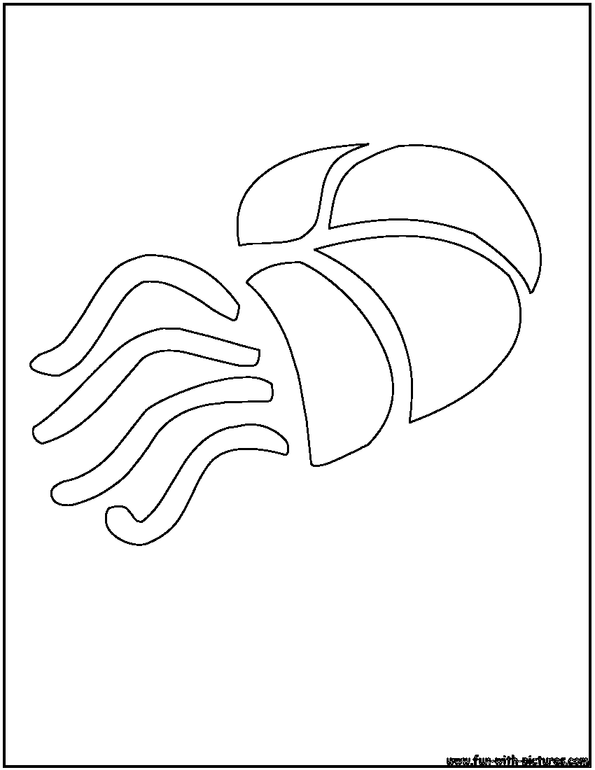 Jellyfish Outline Coloring Page 