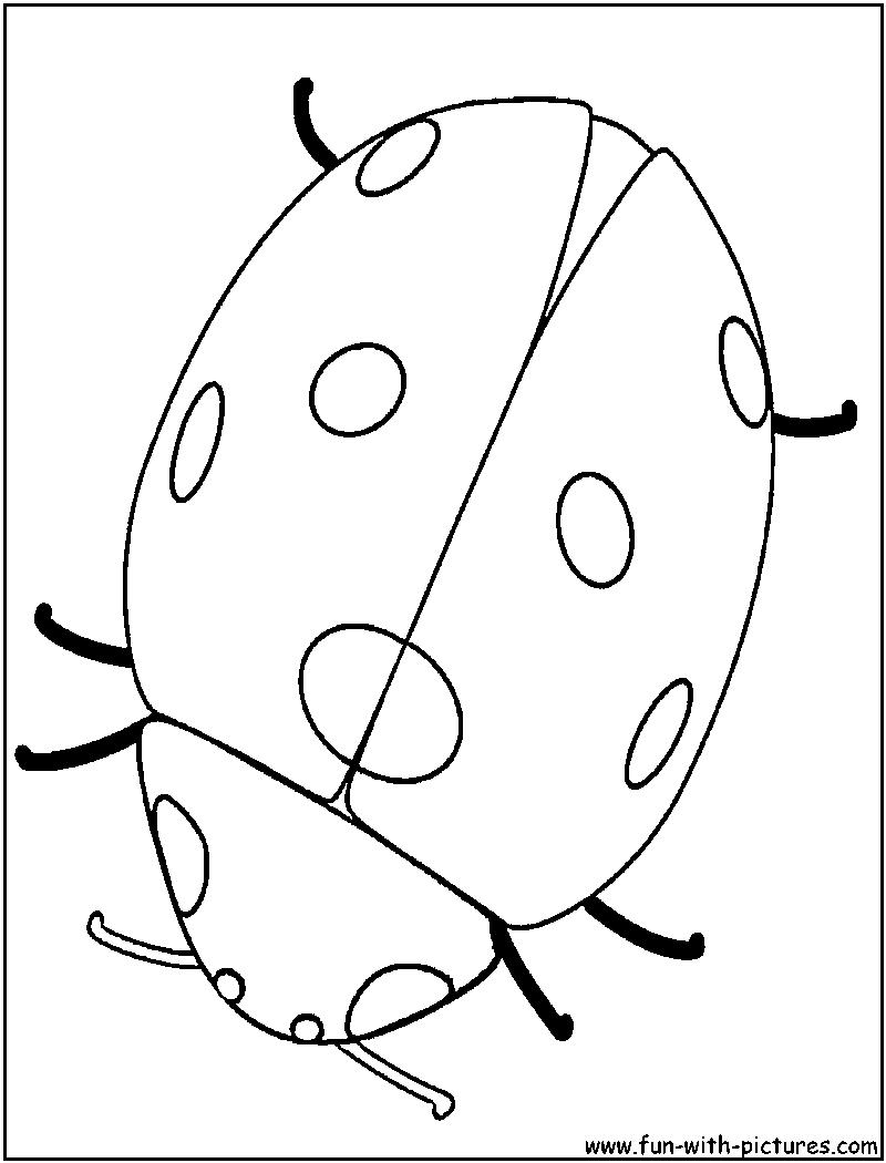 Ladybug Coloring Page 