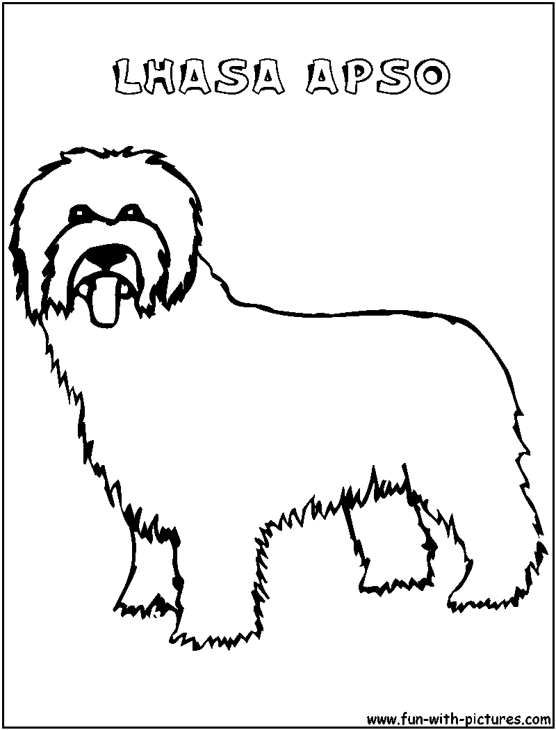 Lhasaapso Coloring Page 