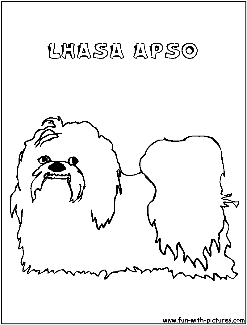Lhasaapso2 Coloring Page 