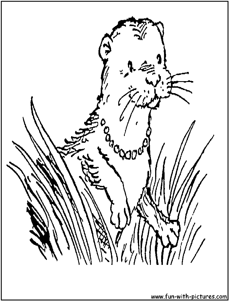 Lottie Otter Coloring Page 