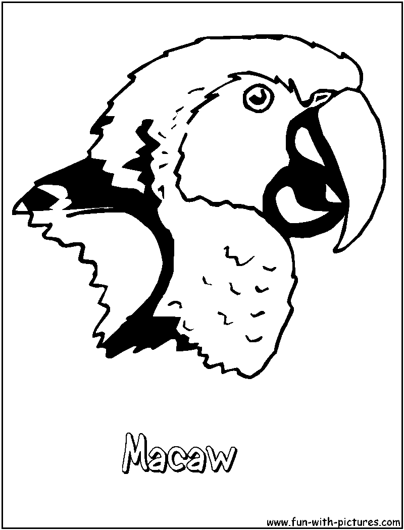 macaw coloring pages print - photo #42