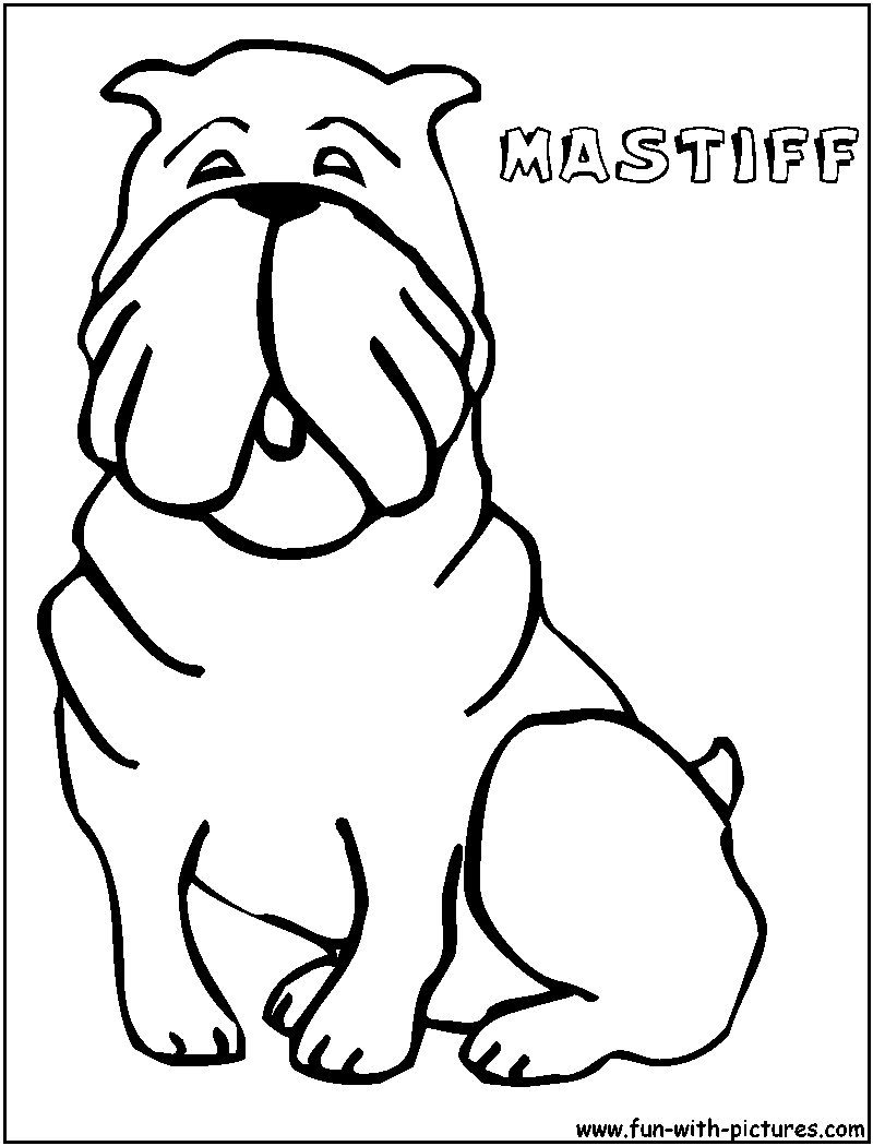 Mastiff Coloring Page 