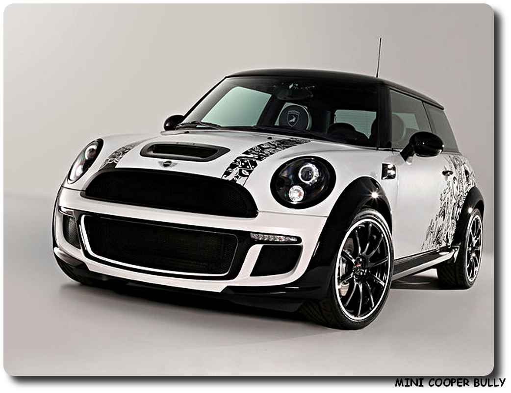 Mini Cooper Bully Car 