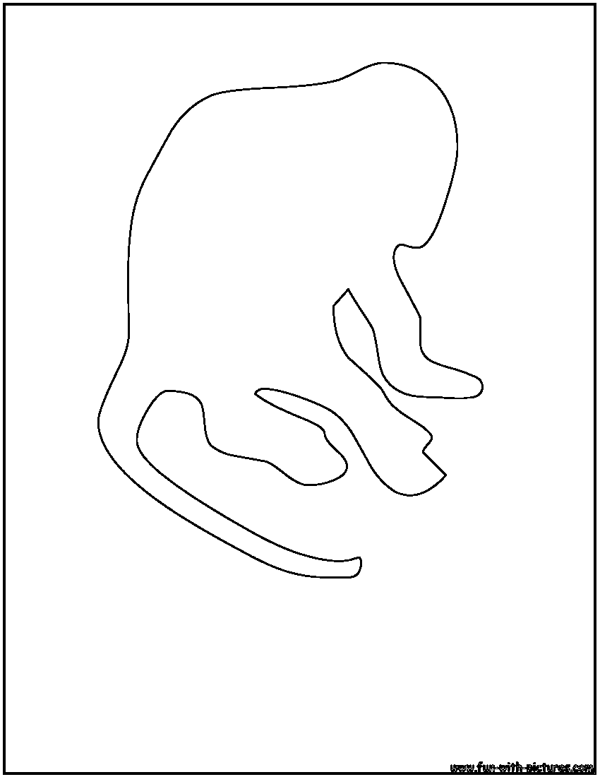 Monkey Outline Coloring Page 