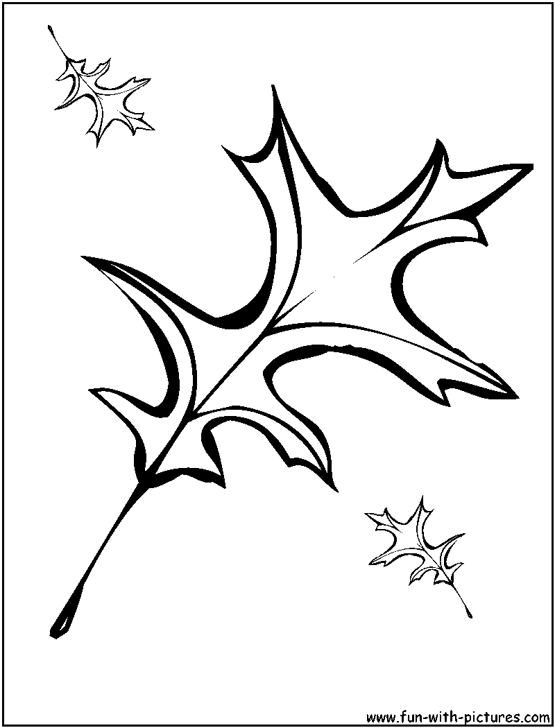 oak leaf coloring pages - photo #5