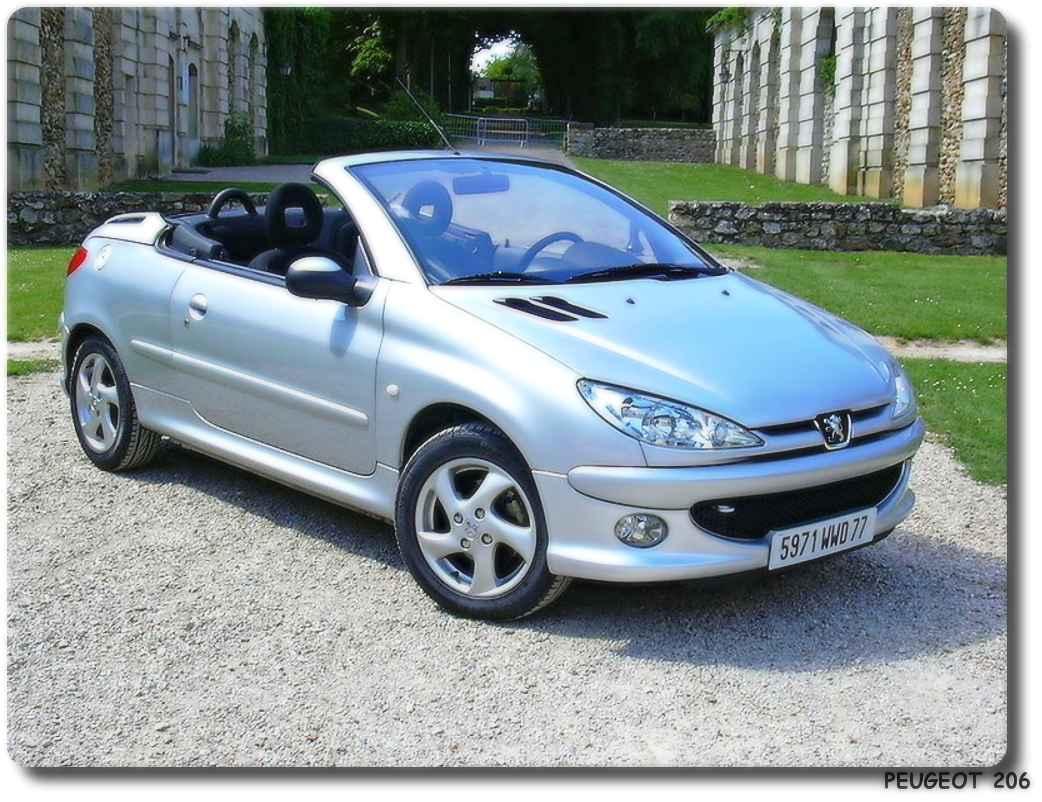 Peugeot 206 Car 