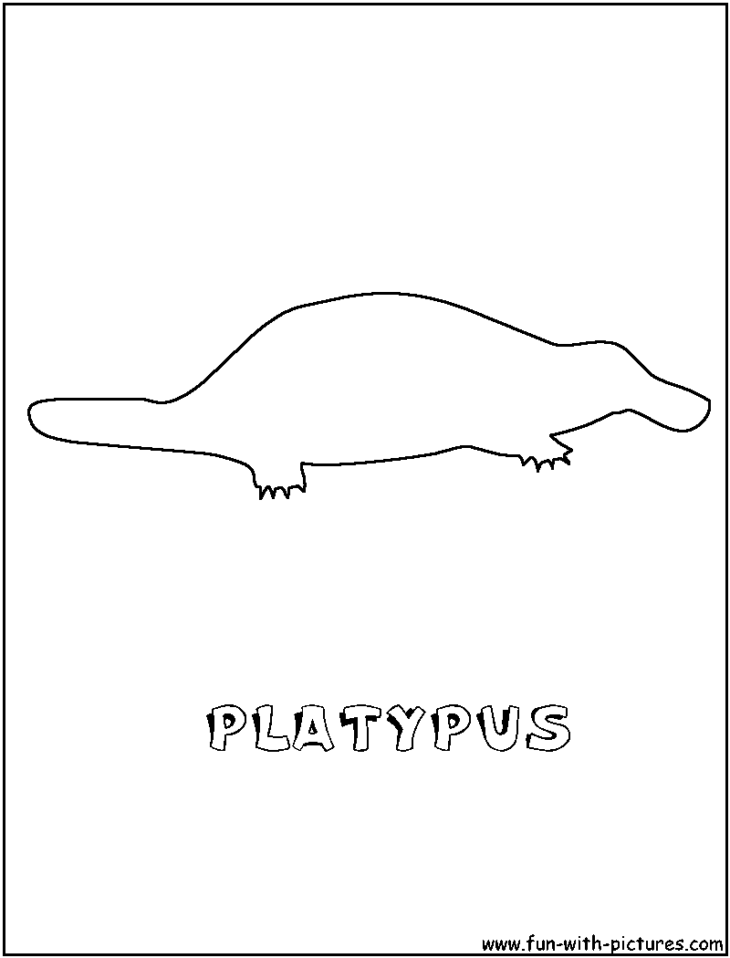 Platypus Coloring Page1 