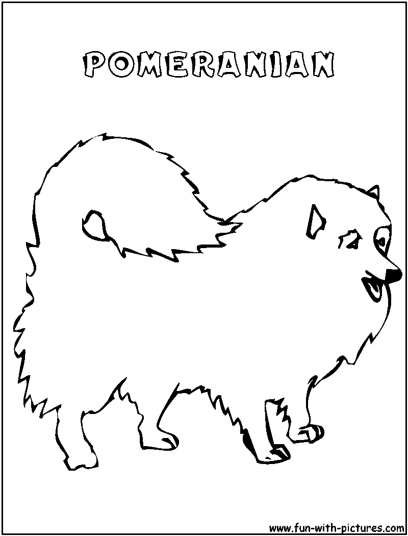 Pomeranian Coloring Page 