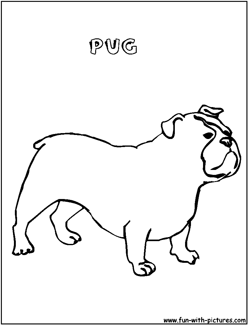 Pug Coloring Page 