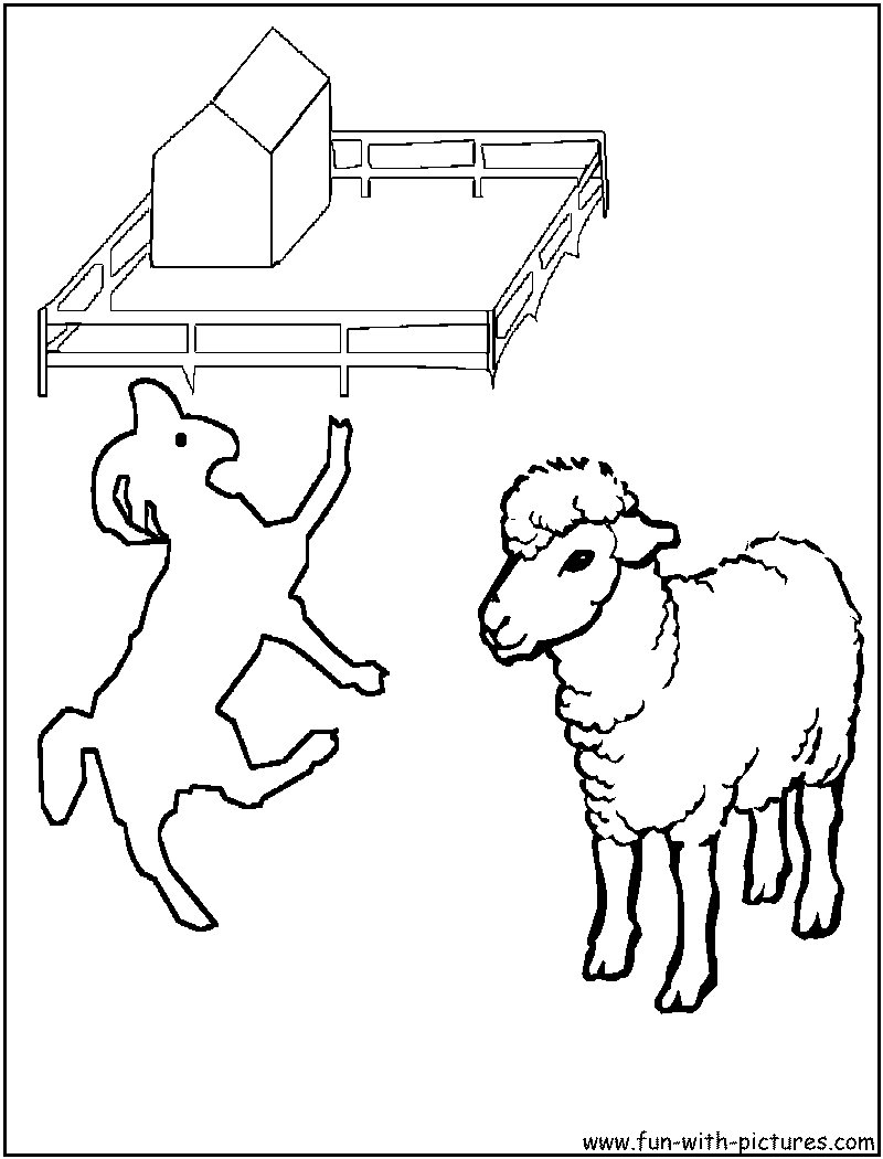 Ram Ewe Coloring Page 