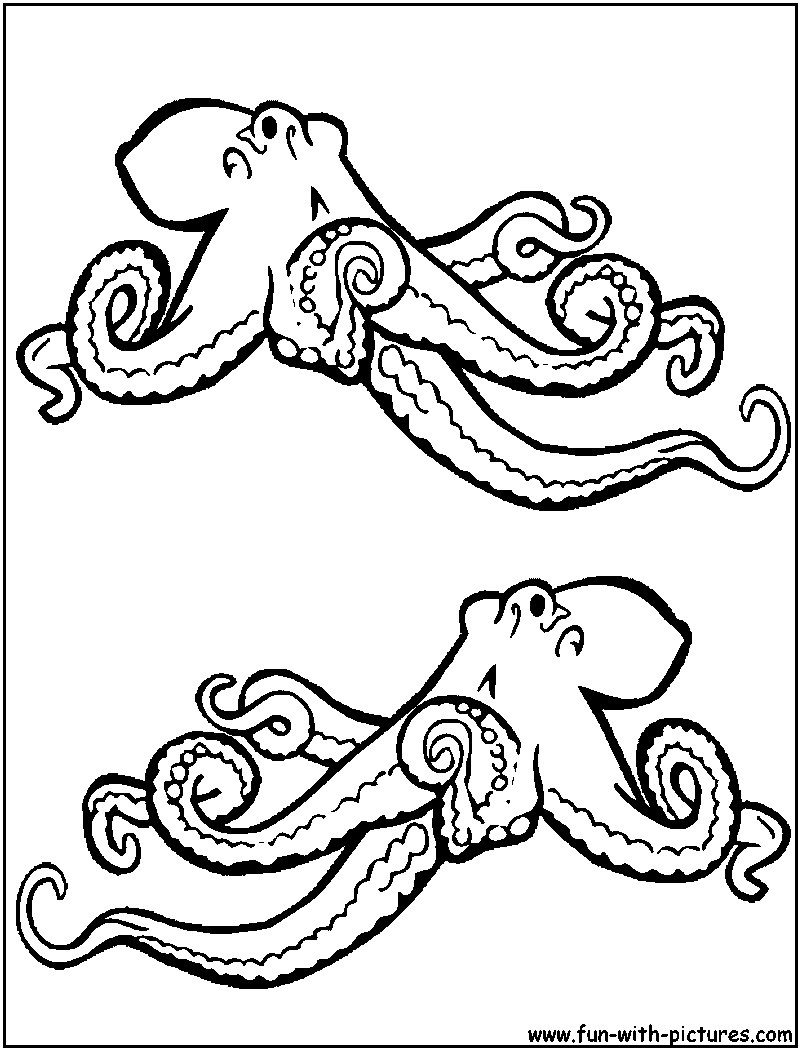 Realistic Octopus Coloring Page 