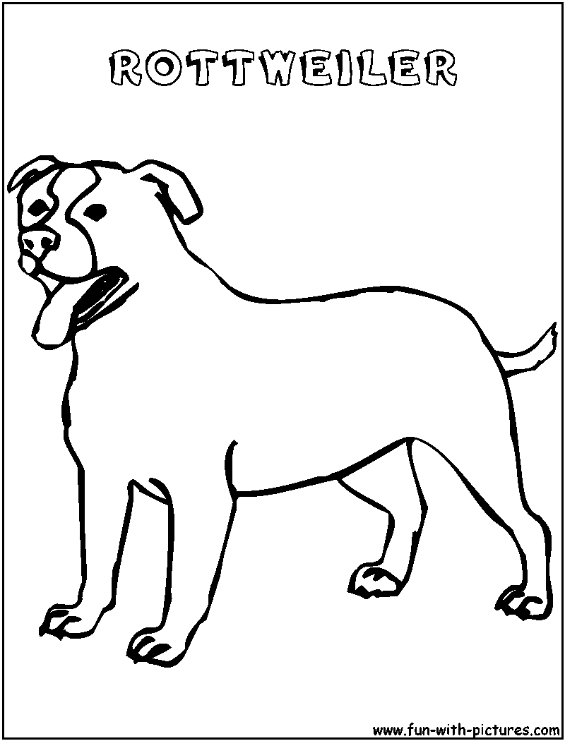 Rottweiler Coloring Page 