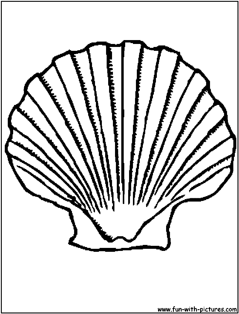 Scallop Shell Coloring Page 