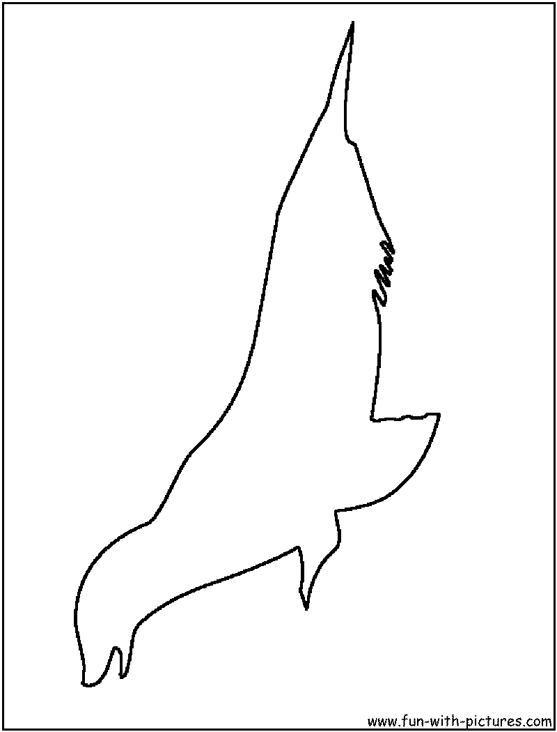 Seal Coloring Page 