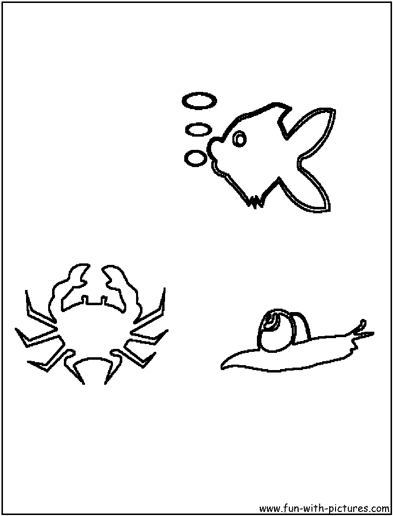 Sealife2 Coloring Page 